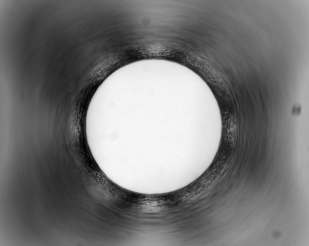 X0000103450746200810101127