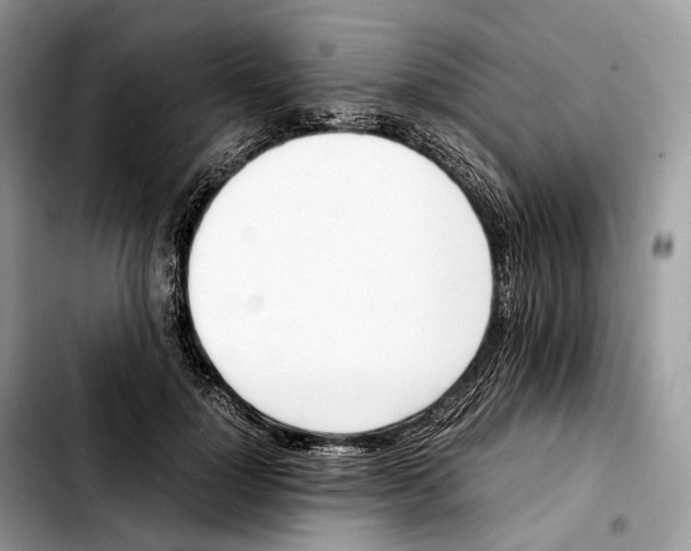 X0000103450748200810101127