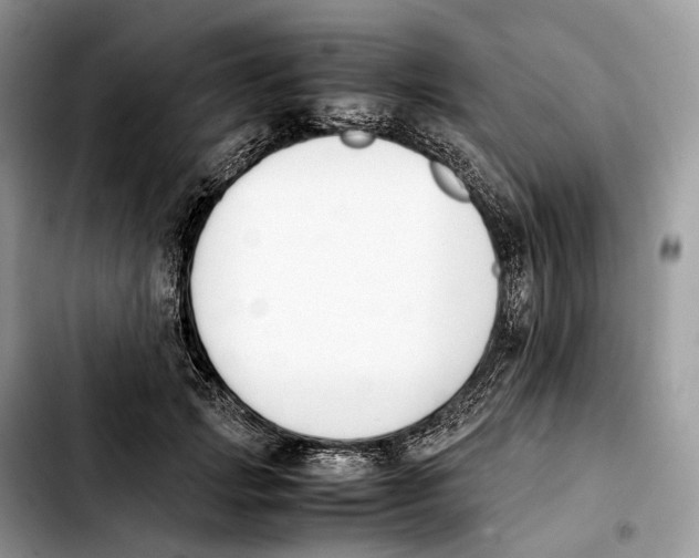 X0000103450749200810101127