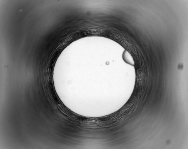 X0000103450752200810101127