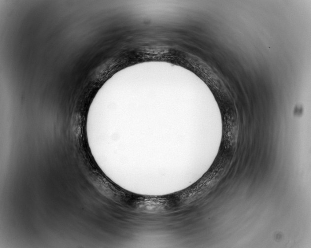 X0000103450758200810101127