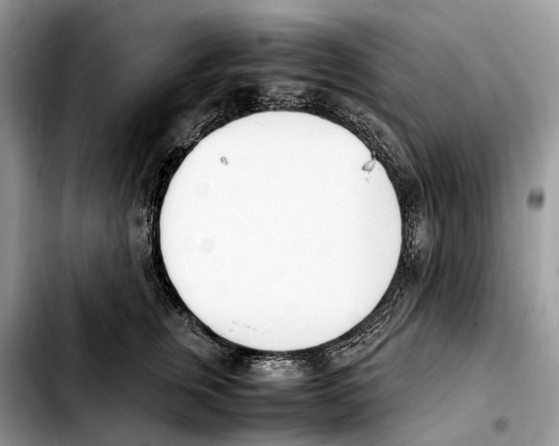 X0000103450759200810101127