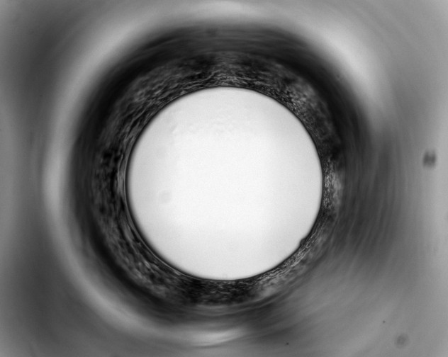 X0000103450765200810101127