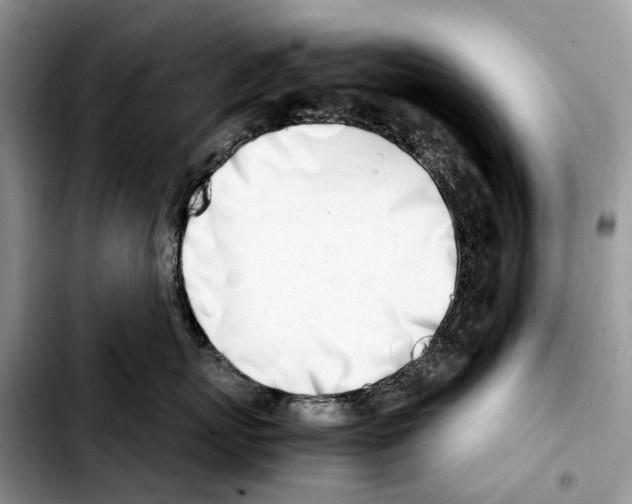 X0000103450767200810101127