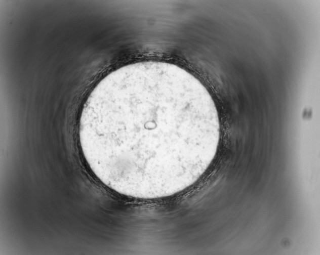 X0000103450769200810101127