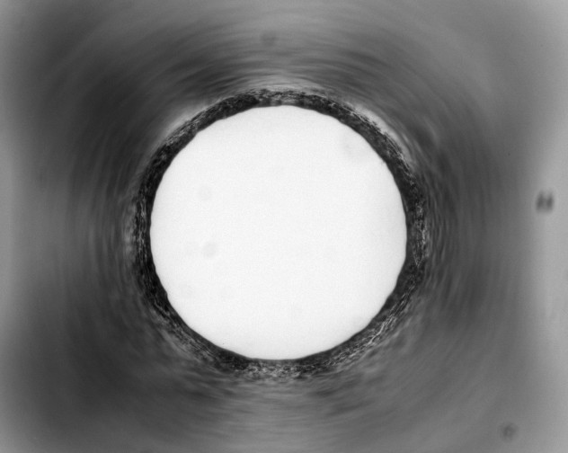 X0000103450775200810101127