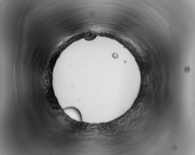 X0000103450776200810101127