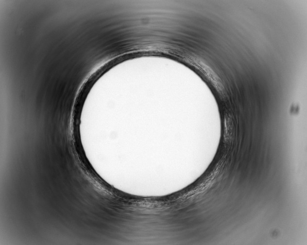 X0000103450780200810101127