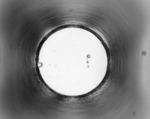 X0000103450783200810101127