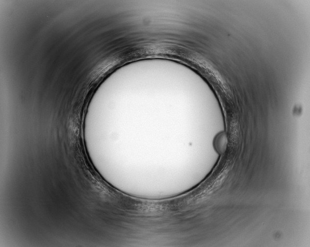 X0000103450785200810101126