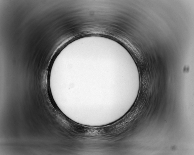 X0000103450790200810101126