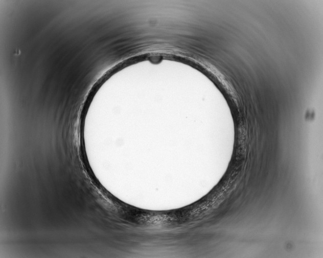 X0000103450791200810101126