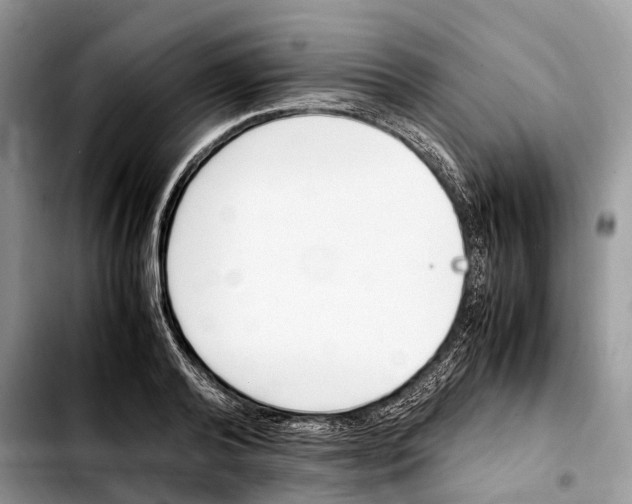 X0000103450792200810101126