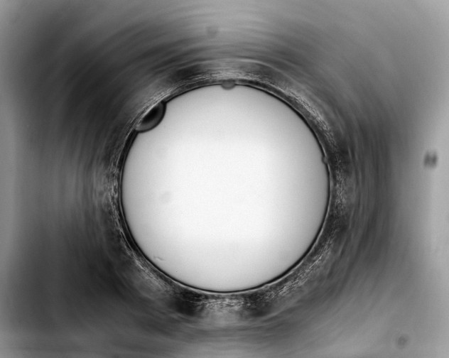 X0000103450793200810101126