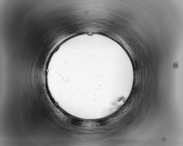 X0000103450795200810101126