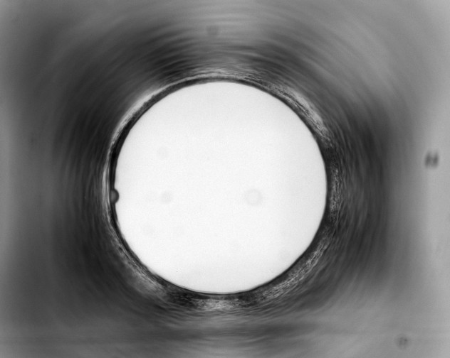 X0000103450796200810101126