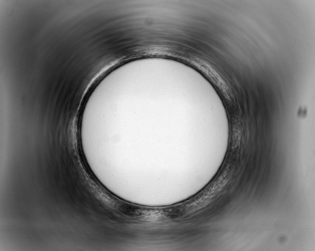 X0000103450798200810101126