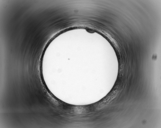 X0000103450799200810101126