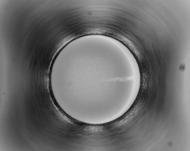 X0000103450802200810101126