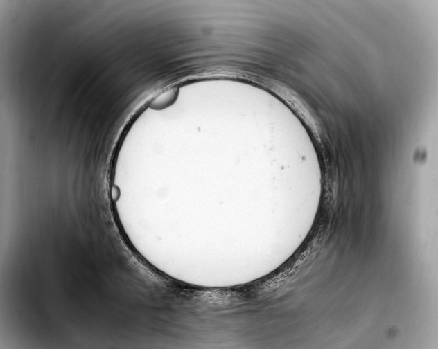 X0000103450805200810101126