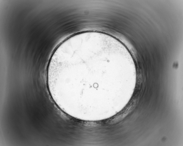 X0000103450807200810101126