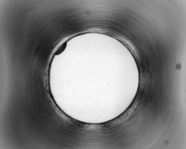 X0000103450808200810101126