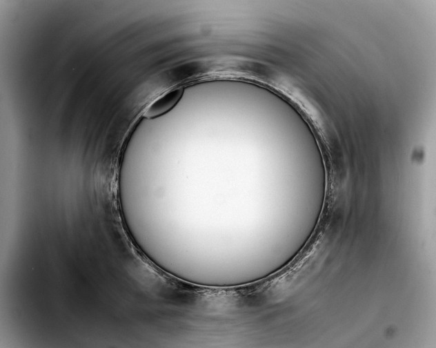 X0000103450809200810101126