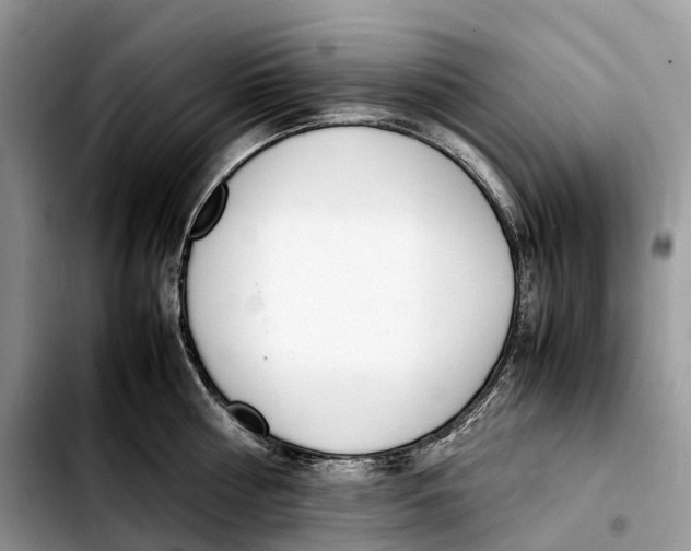 X0000103450810200810101126