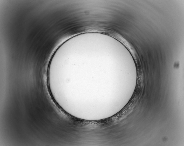 X0000103450811200810101126