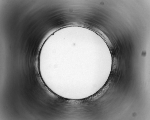 X0000103450812200810101126