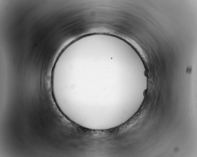 X0000103450815200810101126