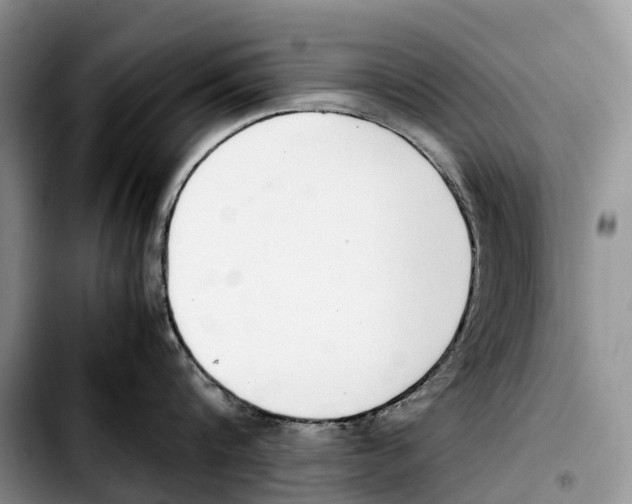 X0000103450816200810101126