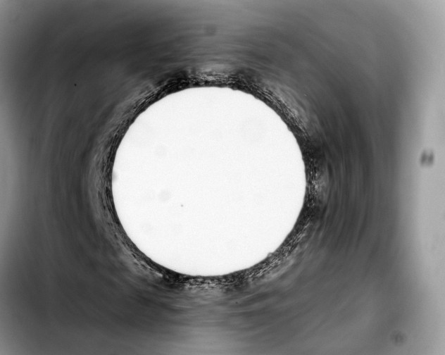 X0000103450817200810101125