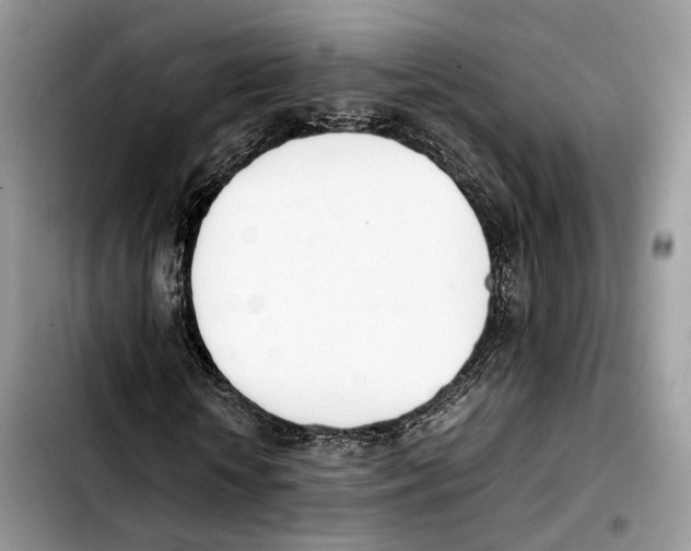 X0000103450818200810101125