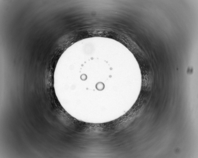 X0000103450820200810101125