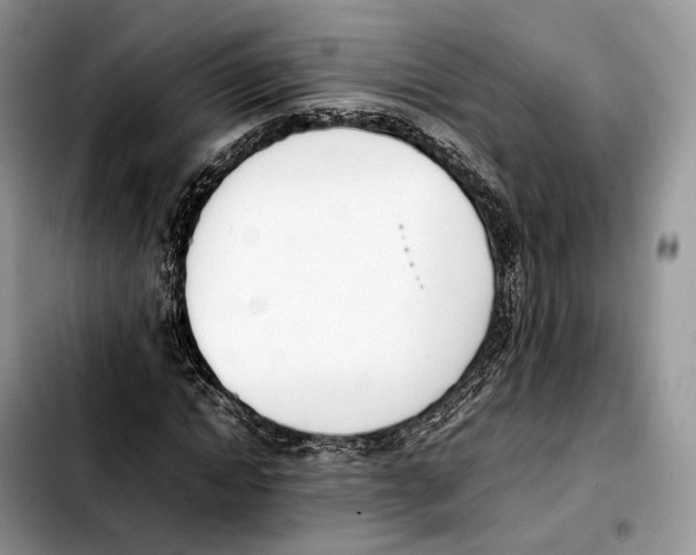 X0000103450822200810101125