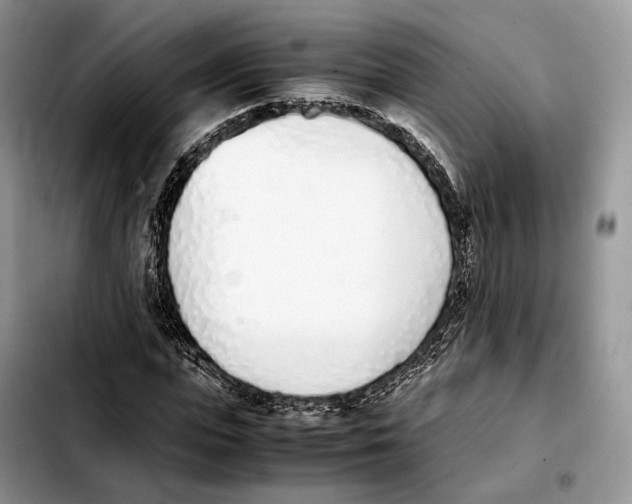 X0000103450823200810101125