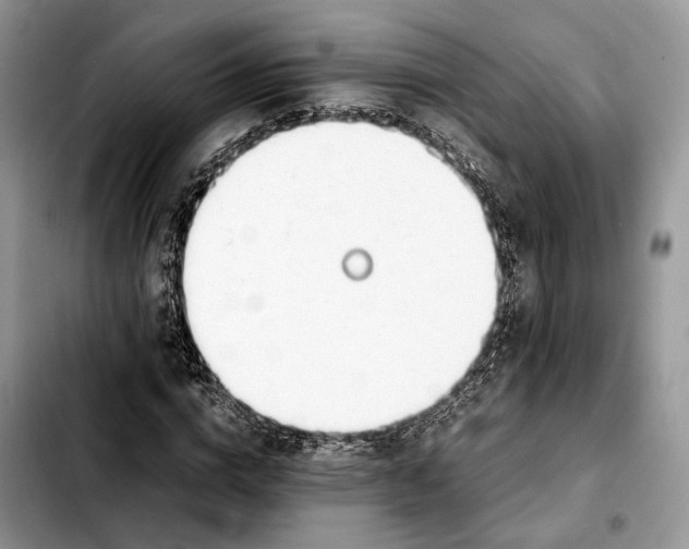 X0000103450824200810101125