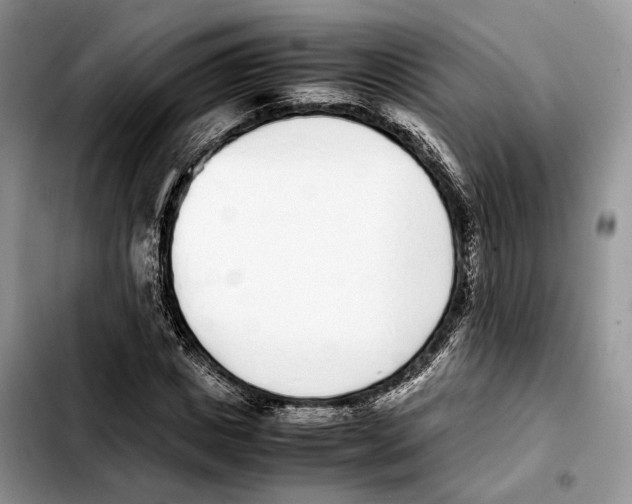 X0000103450825200810101125