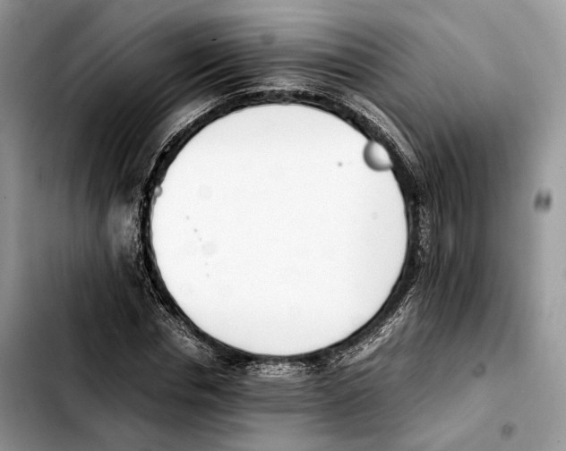 X0000103450826200810101125