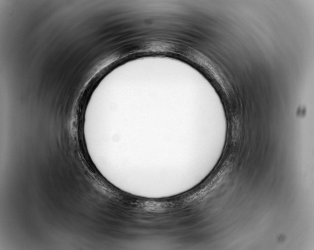 X0000103450827200810101125