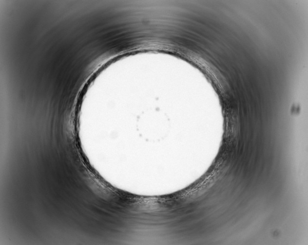 X0000103450828200810101125