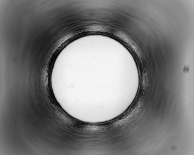 X0000103450829200810101126