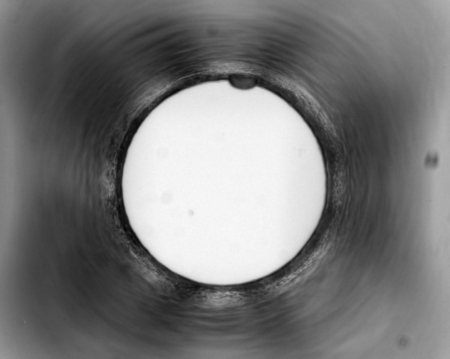 X0000103450833200810101126