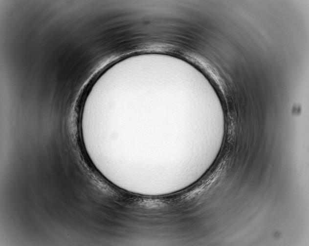 X0000103450835200810101126