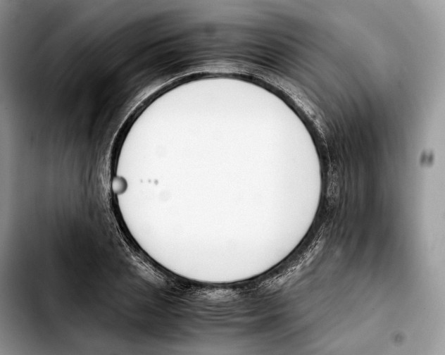 X0000103450837200810101126