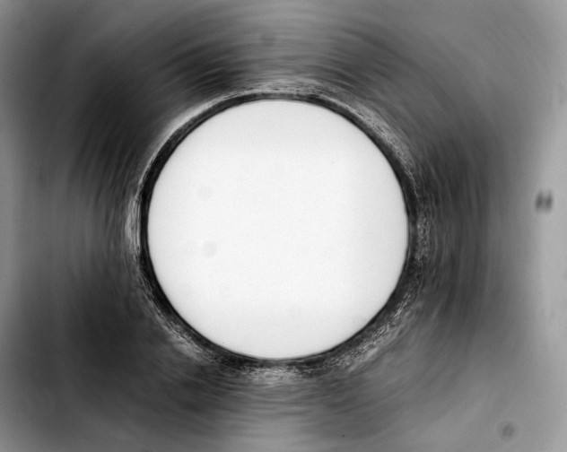 X0000103450838200810101126