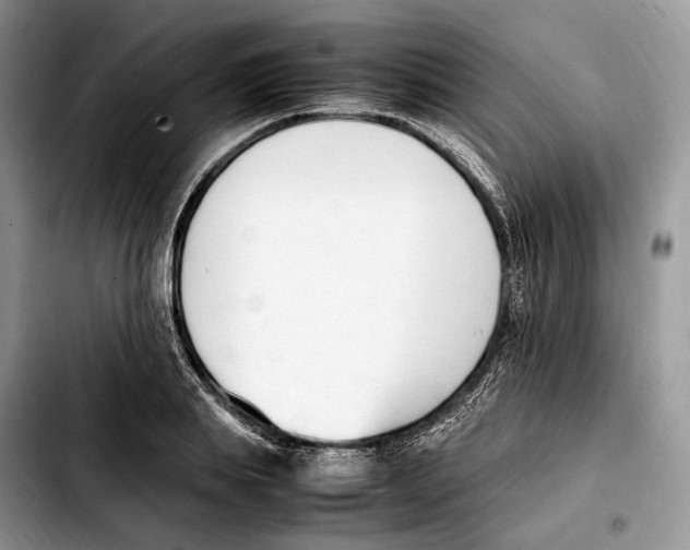 X0000103450839200810101126