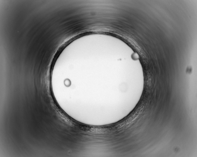 X0000103450840200810101126