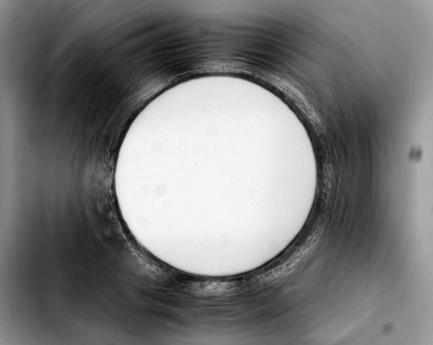 X0000103450841200810101126